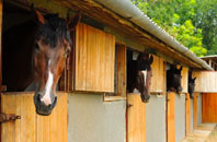 free Enham Alamein stable construction quotes
